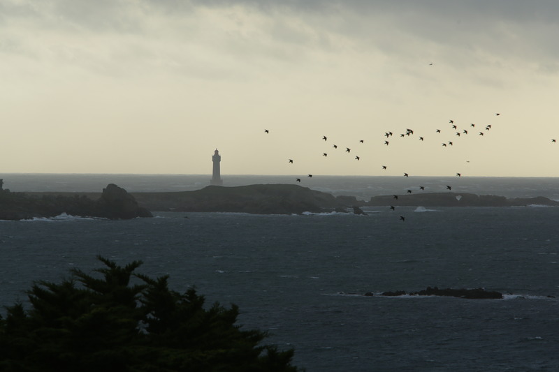 Le phare de la Jument