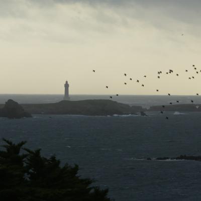 Le phare de la Jument